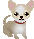 petgif-3