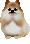 petgif-9